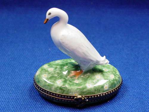 WHITE DUCK